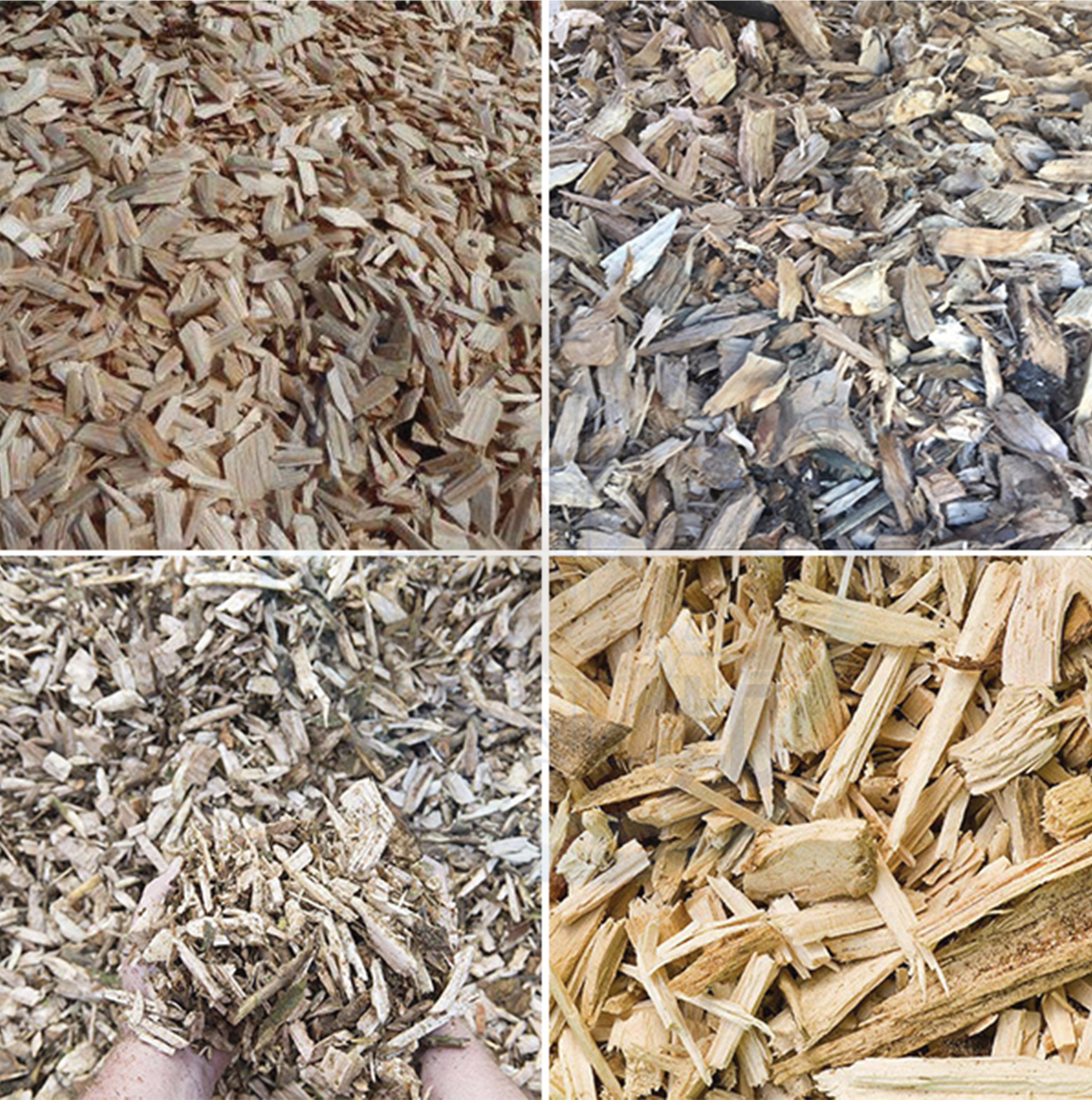 樹(shù)根破碎機(jī)破碎效果
